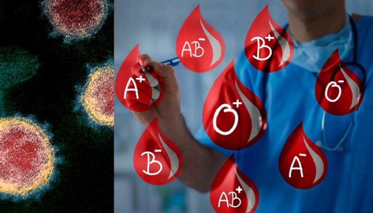 Vércsoportok – A klasszikus négyes