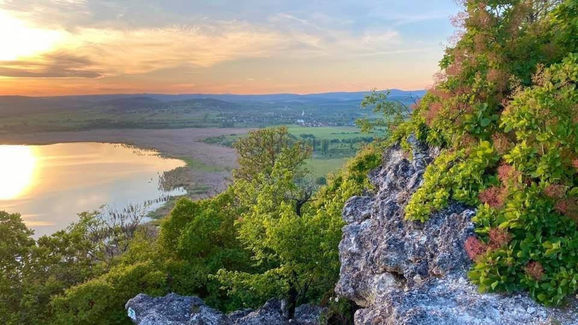 fül orr gégészet magánrendelés budapest