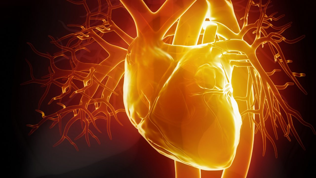 szív egészségét népszerűsítő cikkek