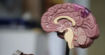 Elon Musk cége elkezdheti az agyimplantátumok tesztelését embereken