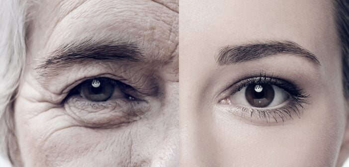 Izgalmas áttörést értek el az öregedés megértésében az ELTE genetikusai