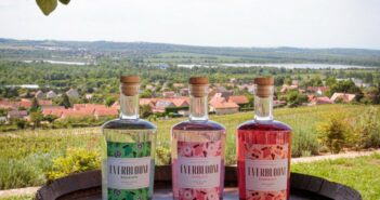 Szőlő alapú gintermékeket fejlesztettek a Pécsi Tudományegyetemen