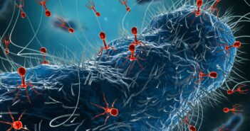 A fágterápia újraírhatja a gyógyászat jövőjét