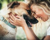 A kutyatartás új gondoskodási formát alakít ki a nőknél