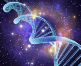 A DNS védelmének lehetőségeit vizsgálták az SZTE kutatói a HUNOR-program keretében